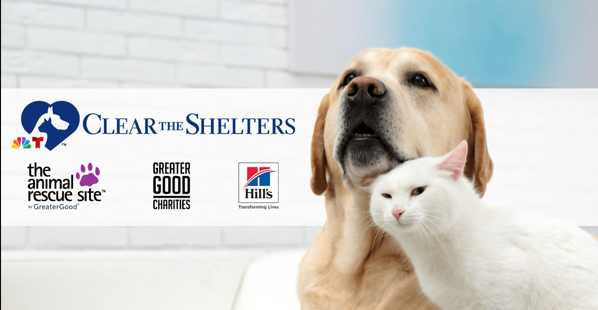 Clear The Shelters 2023